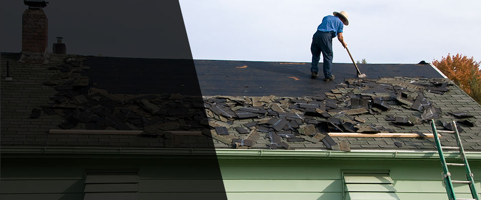 Trilby Roofing Contractors